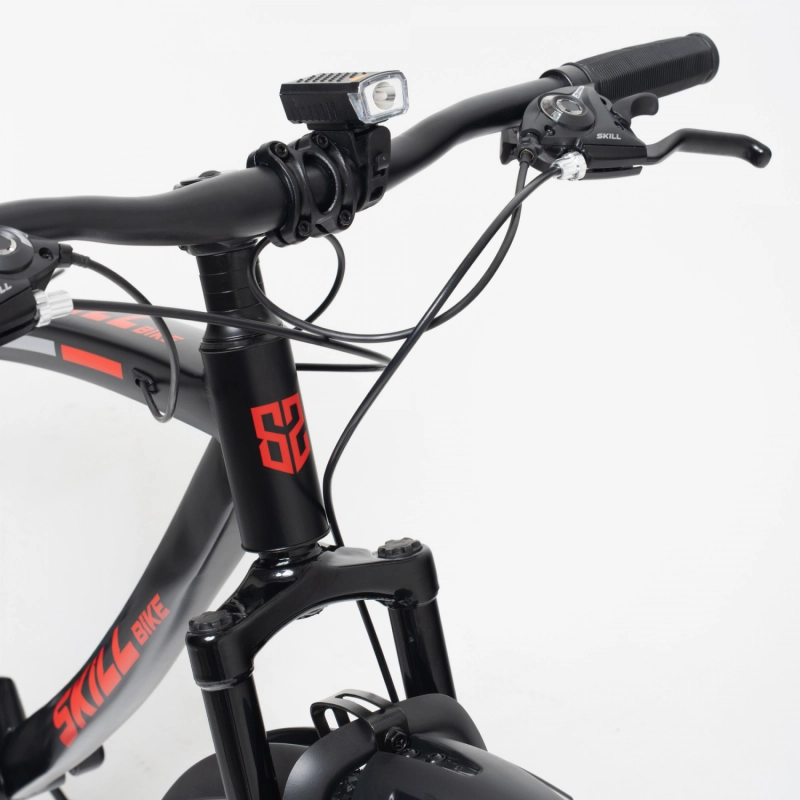 Велосипед на литых дисках SKILL BIKE 2600